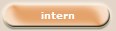 intern
